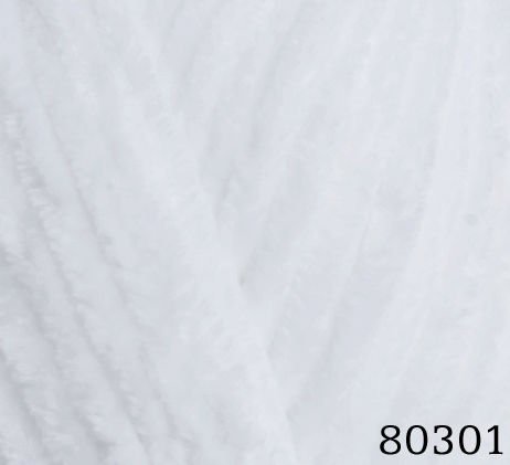80301