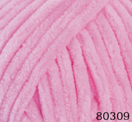 80309