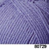 80729