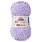 Dolphin Baby